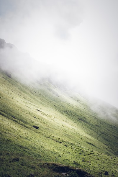 大雾天气时草覆盖的斜坡